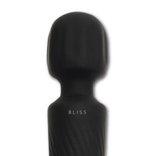 Load image into Gallery viewer, Power Wand Massager